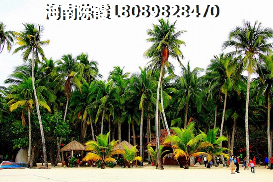 吾悦广场样板间
