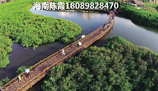 海棠华著
