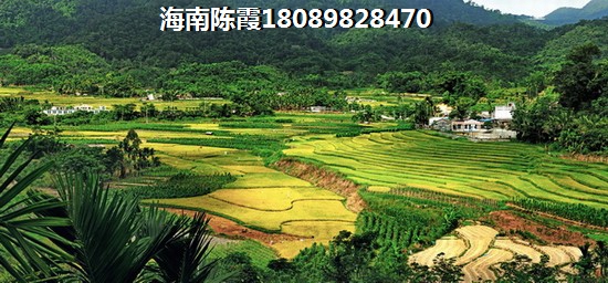 宝安山水龙城规划图