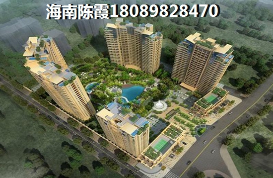 海南房子哪里纸得买？