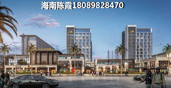 海南岛2024买房购房条件！