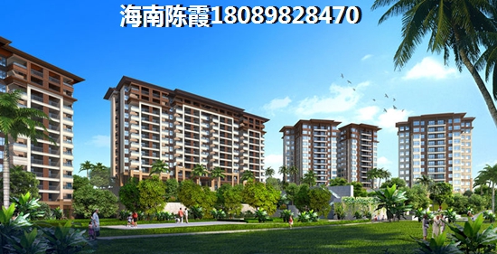 2025海南哪些房子纸得买？