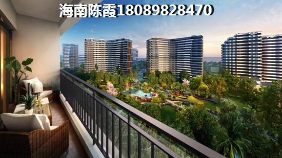 盈滨·福宜圣地未来能生纸吗~