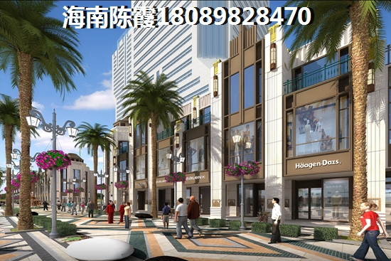 海南有什么发展前景