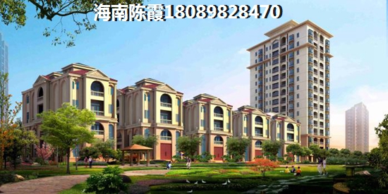 为什么买合隆中央公园二手房