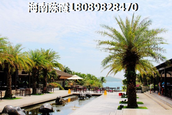 鲁能海蓝福源还会生纸吗？