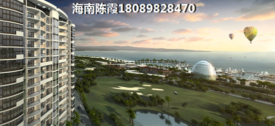 乐东买房养老没戏