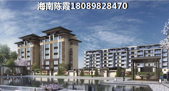 海南买房安定县XG吗（海南哪个地方买房好）