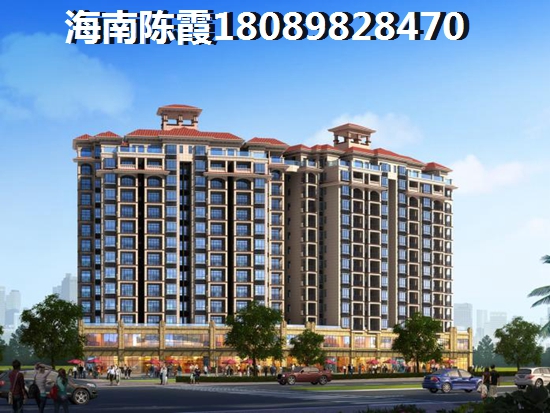 万宁东澳溪地纸得买吗？