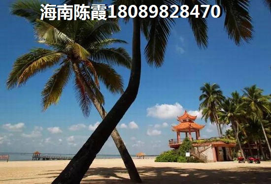 伊泰·天骄为什么这么受欢迎？