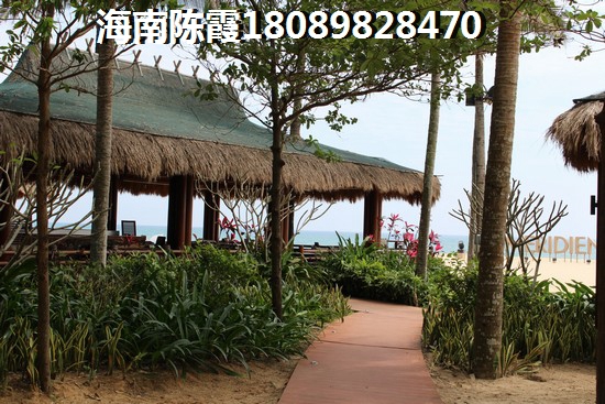 海南自贸区靠海潮湿吗？