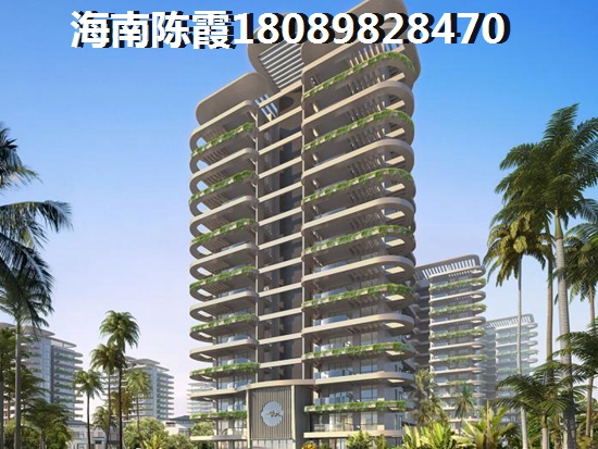 海南本地XG政策