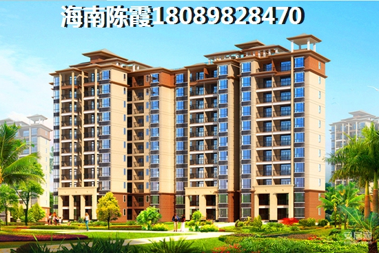 海口芒果社环境怎么样？
