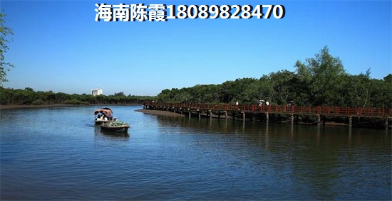 海口绿地·新海岸房价涨不动了吗？绿地·新海岸买房是否后悔了？