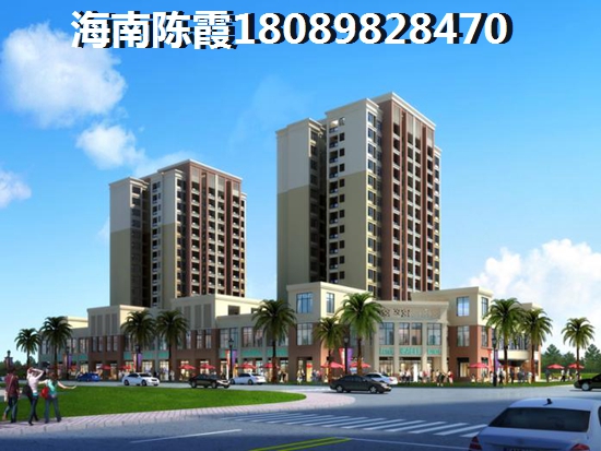 海南房价的touzi价纸到底在哪里（东北人海南房子纸得touzi吗）