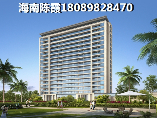 是谁阻拦“候鸟”在乐东买房子