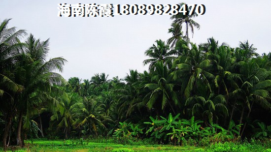 海南夏天宜居吗